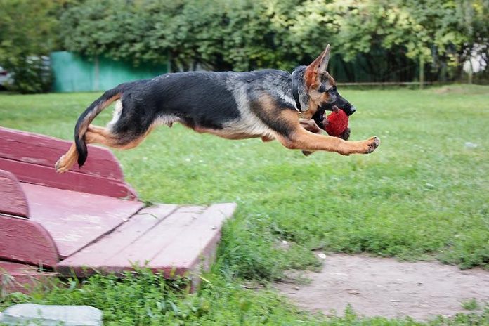 img-93ffc29073f84640e9325edfb61fee23-v