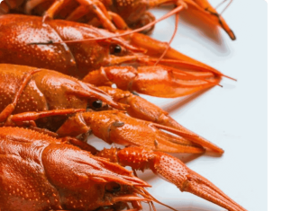 Чем полезно регулярное употребление раков: какие из них считаются лучшими