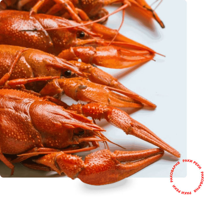 o-proekte-21-5f7cf355