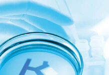 Разработка и производство антител: подробности