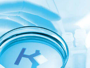 Разработка и производство антител: подробности