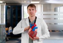 Как отдыхает сердце: удивительные механизмы восстановления главного органа