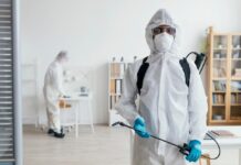 Эффективная борьба с паразитами домашних животных: помощь от компании «Марафет»