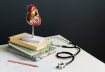 РосМедИнфо — незаменимый помощник в учебе и повседневной жизни!