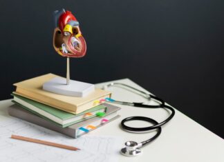 РосМедИнфо — незаменимый помощник в учебе и повседневной жизни!