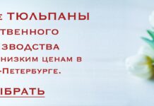 Что подарить маме на 8 марта: советы по выбору букета