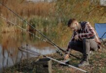 Фидерная ловля на Волге. Как правильно прикормить хищника