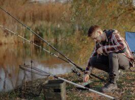 Фидерная ловля на Волге. Как правильно прикормить хищника