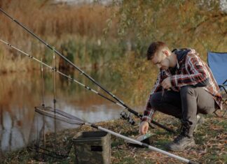 Фидерная ловля на Волге. Как правильно прикормить хищника
