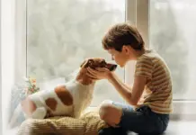 Смерть питомца: как объяснить ребенку и поддержать его