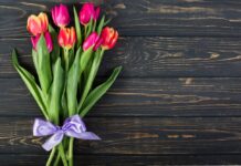 Цветы к 8 марта: как выбрать идеальный букет для любимых женщин