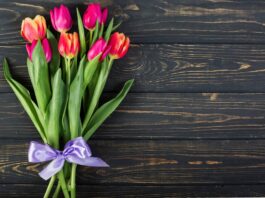 Цветы к 8 марта: как выбрать идеальный букет для любимых женщин