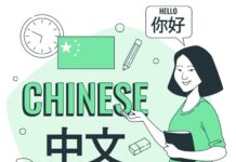 Перевод инструкций к китайскому оборудованию