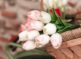 Как выбрать тюльпаны к 8 марта: советы и идеи