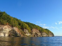 Как маркетинг делает нас «зашлакованными»