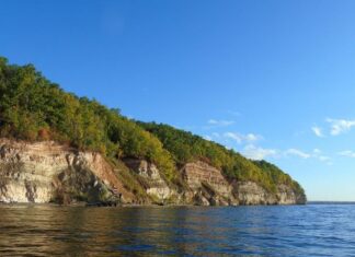 Как маркетинг делает нас «зашлакованными»