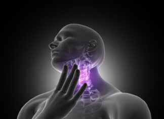 УЗИ щитовидной железы: показания, процедура, расшифровка результатов