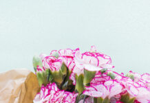 Можно ли дарить гвоздики любимой девушке: разбираем значение цветов и повод