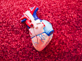 Эли Кардио Тест: как проверить свое сердце