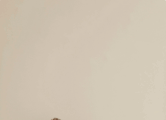 Современная разработка сайтов: почему это важно для бизнеса