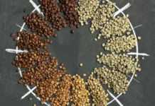 Обжарка кофе на заказ — когда каждый глоток выверен?