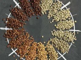 Обжарка кофе на заказ — когда каждый глоток выверен?