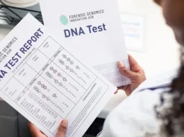 Что показывает ДНК-тест — примеры интерпретации результатов